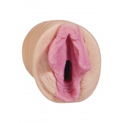 Porn Stars Kimberly Kane Pussy